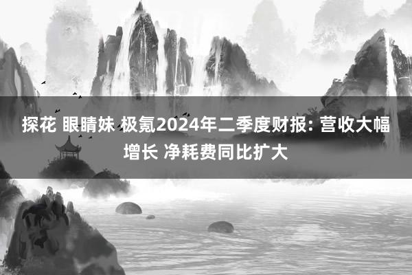探花 眼睛妹 极氪2024年二季度财报: 营收大幅增长 净耗费同比扩大