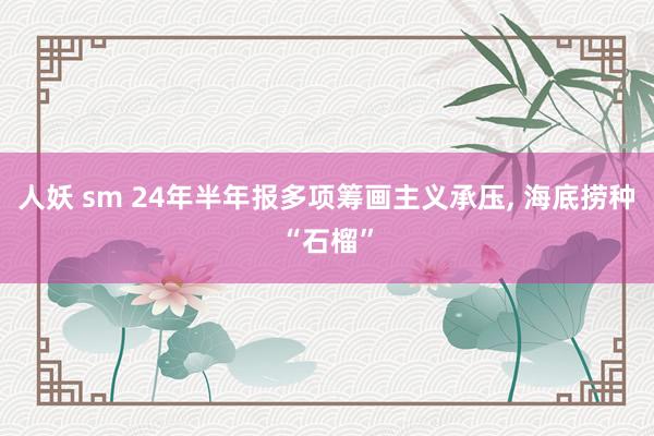 人妖 sm 24年半年报多项筹画主义承压， 海底捞种“石榴”