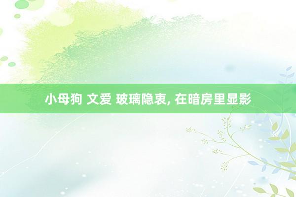 小母狗 文爱 玻璃隐衷， 在暗房里显影