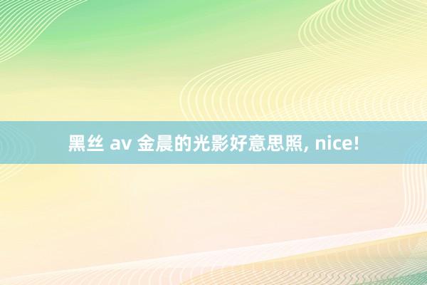 黑丝 av 金晨的光影好意思照， nice!