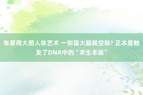 张筱雨大胆人体艺术 一弥留大脑就空缺? 正本是触发了DNA中的“求生本能”
