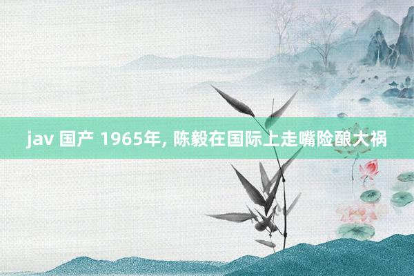 jav 国产 1965年， 陈毅在国际上走嘴险酿大祸